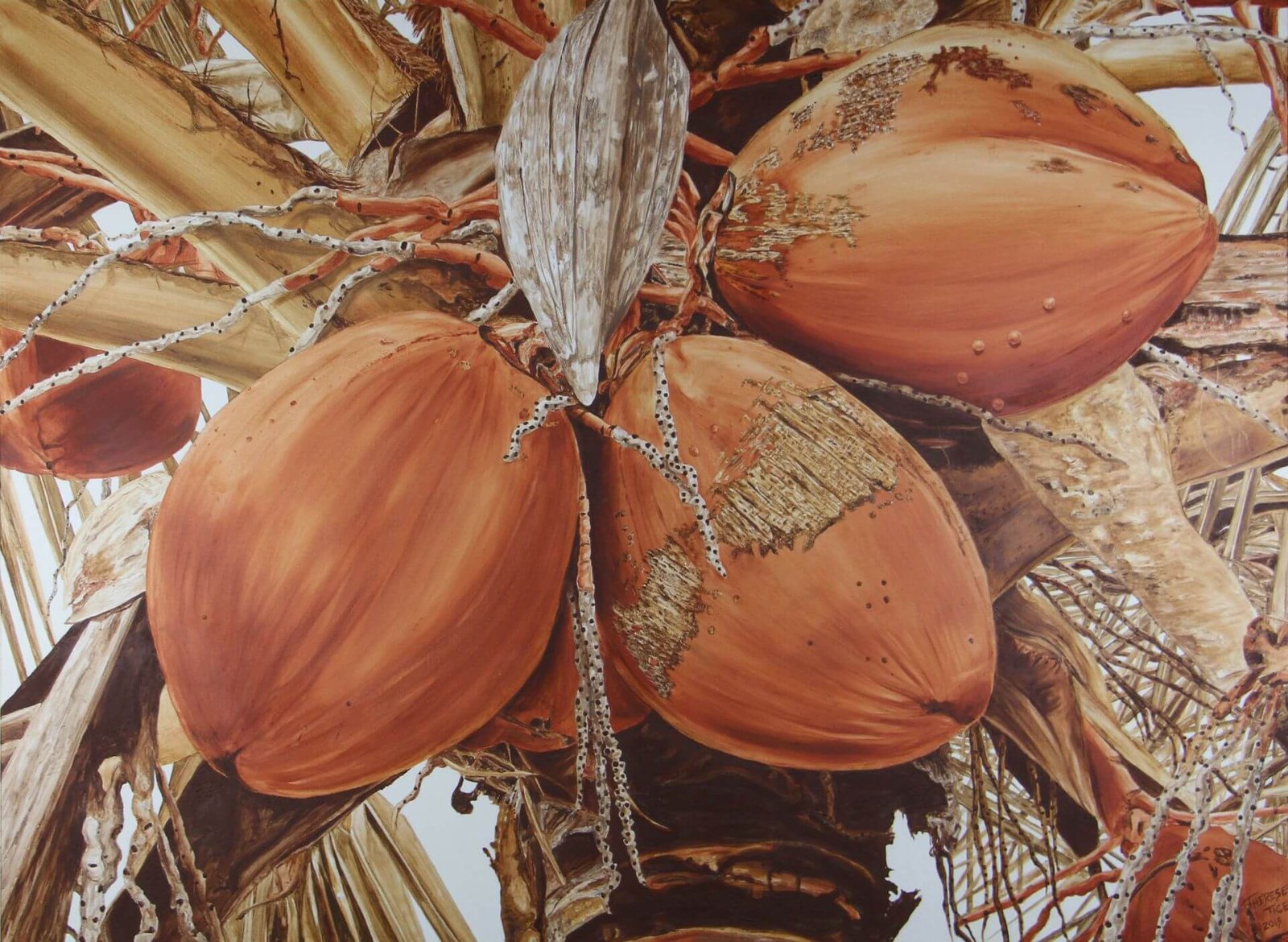 Watercolor painting of ripe coconuts clustered on a palm tree with textured fronds