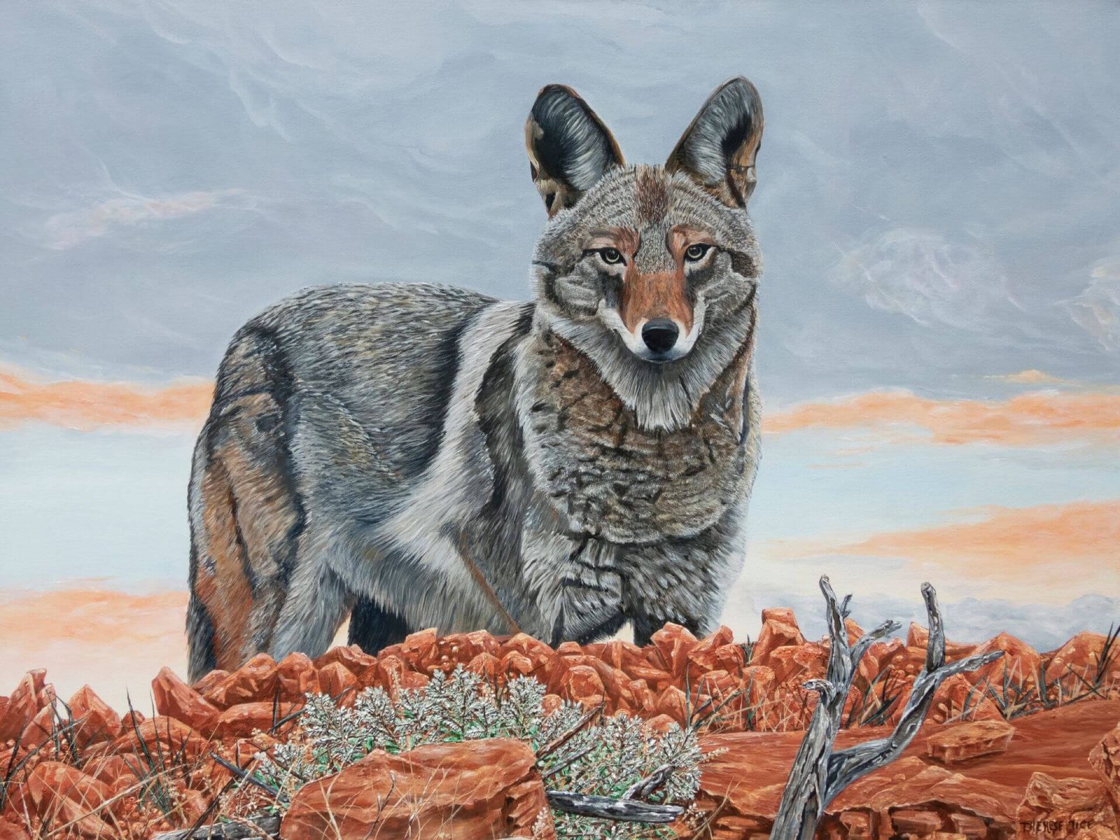Realistic coyote standing alert on red desert rocks with shrubs under a soft sky, painted in acrylic