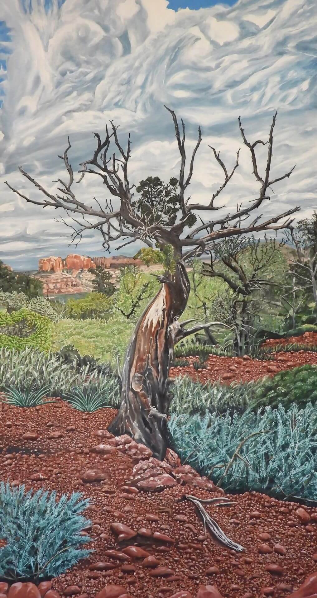 Twisted juniper tree standing resilient in a rocky desert landscape beneath dramatic swirling clouds