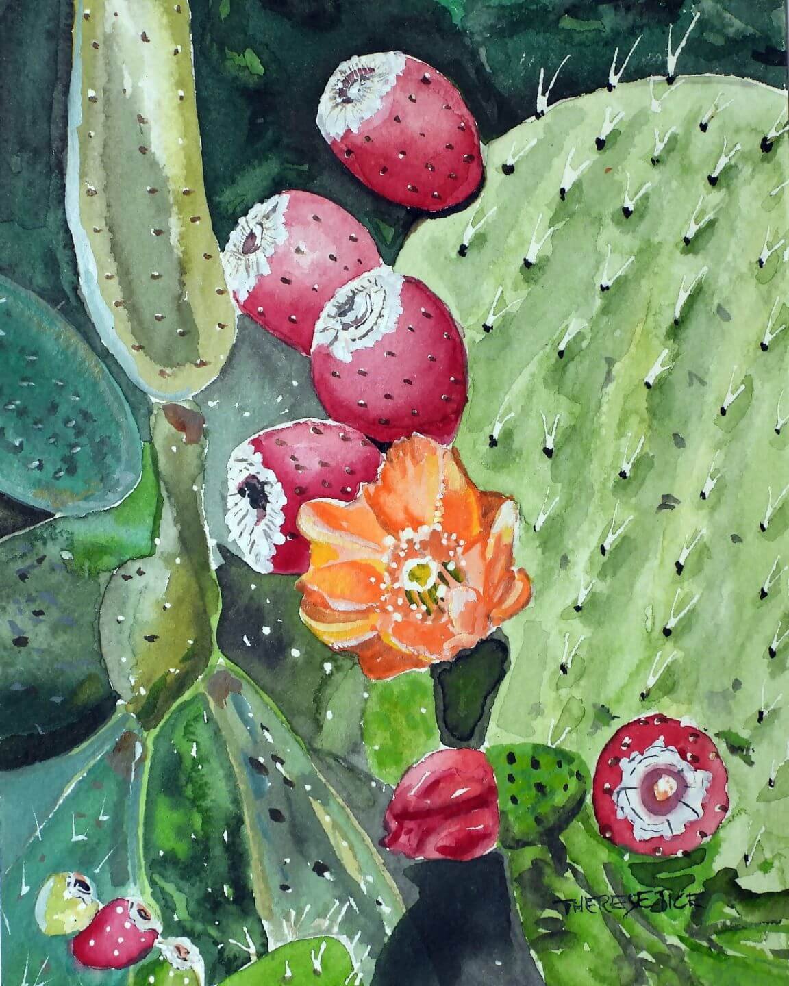 Watercolor painting of prickly pear cactus pads with red fruit and an orange cactus flower in bloom
