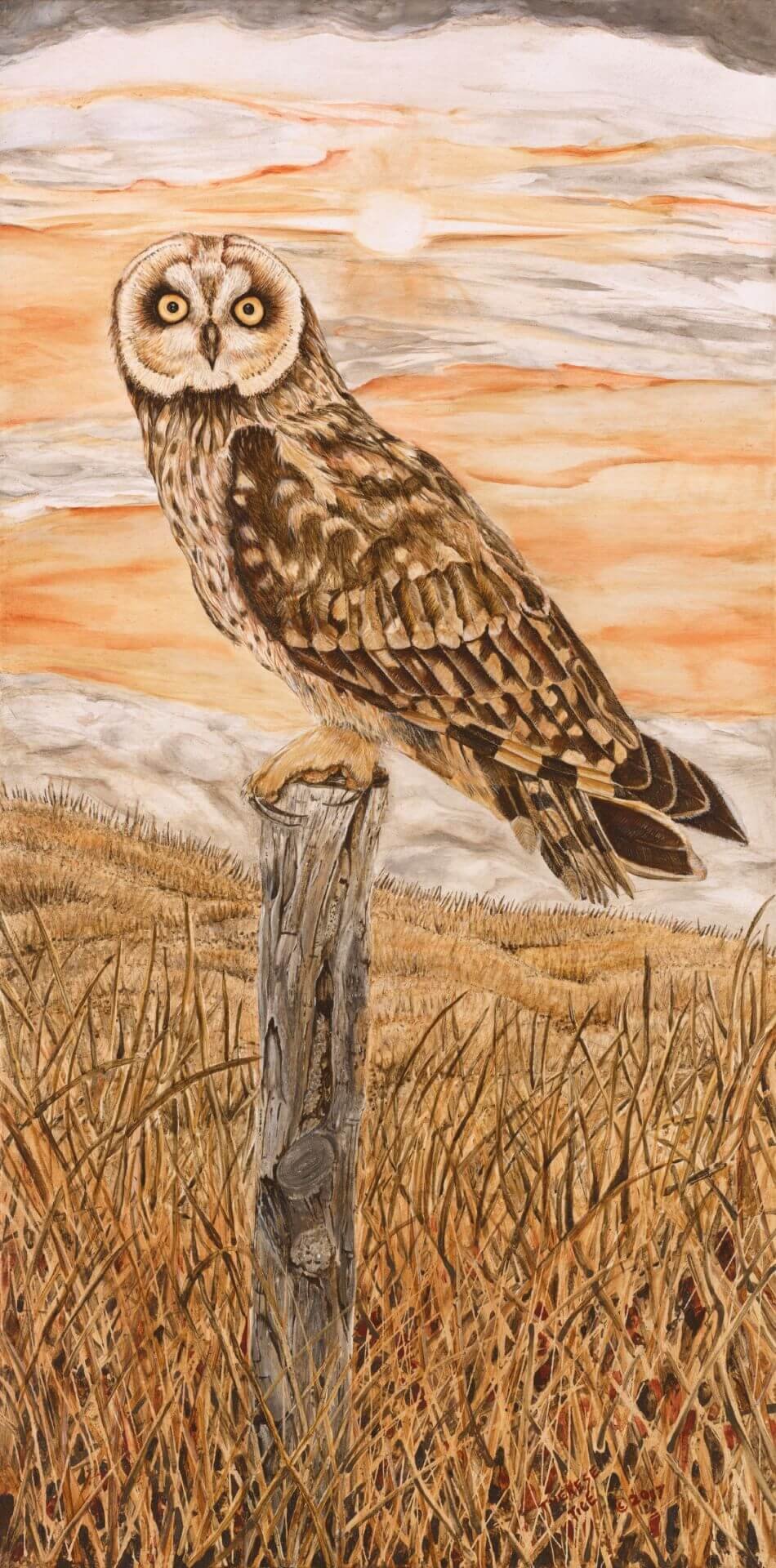 Watercolor painting of a short-eared owl perched on a wooden post in golden grass at sunset